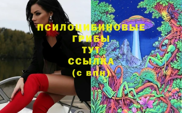ешки Инсар