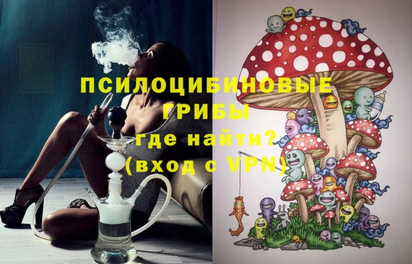 ешки Инсар