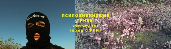 соль ск Иннополис