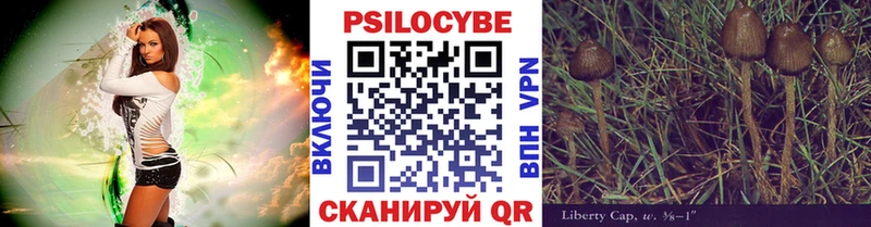 Псилоцибиновые грибы прущие грибы  Новое Девяткино 